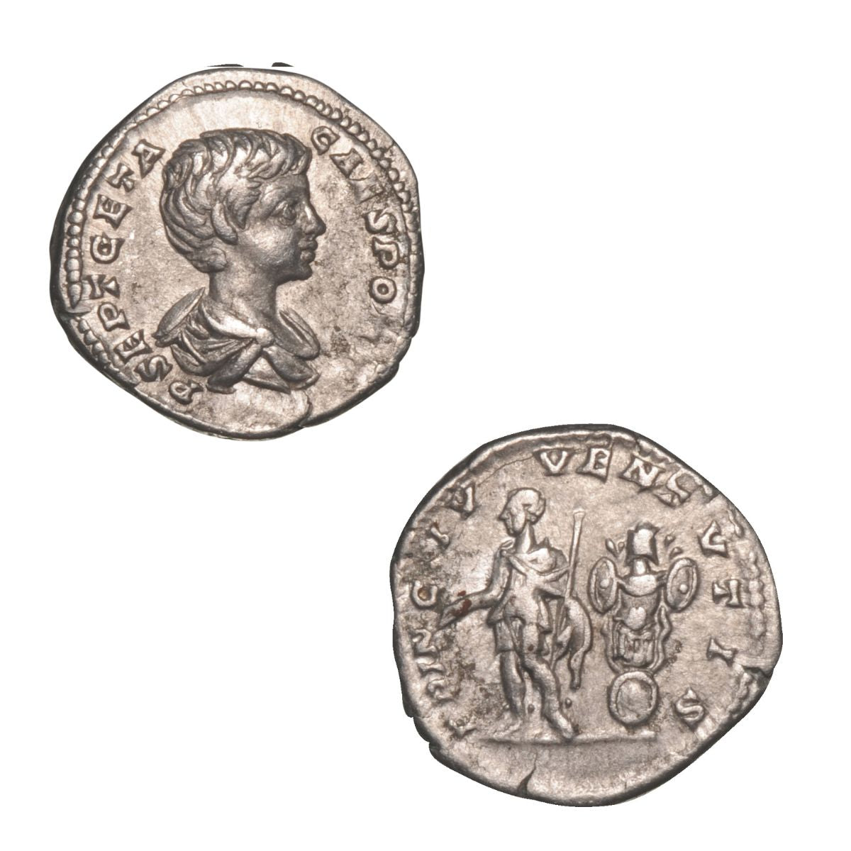 Silver Coins of Ancient Rome Collection