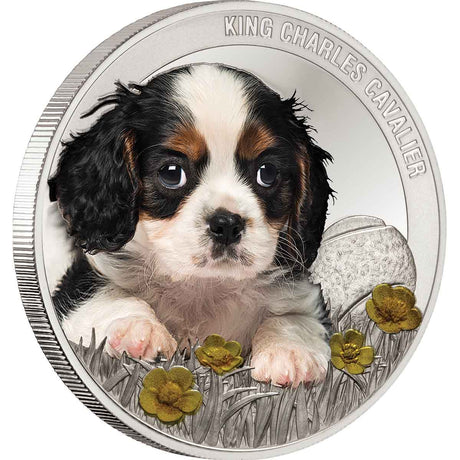 Wonderful World of Dogs King Charles Cavalier Silver Plated Commemorative in Frame