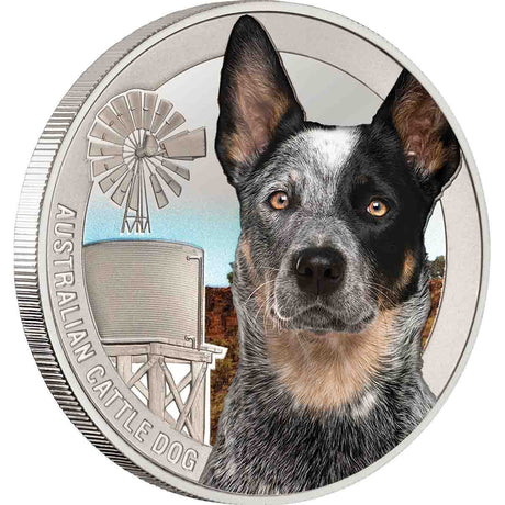 Cattle Dog Silver-plated Prooflike Commemorative in Frame