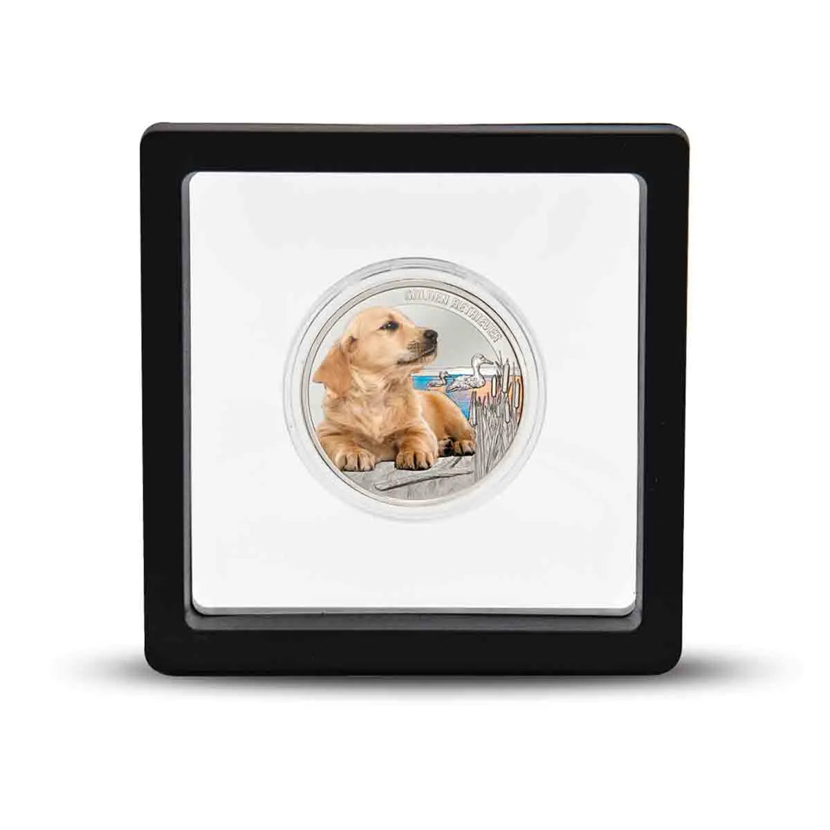 Golden Retriever Silver-plated Prooflike Commemorative in Frame