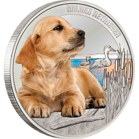 Golden Retriever Silver-plated Prooflike Commemorative in Frame