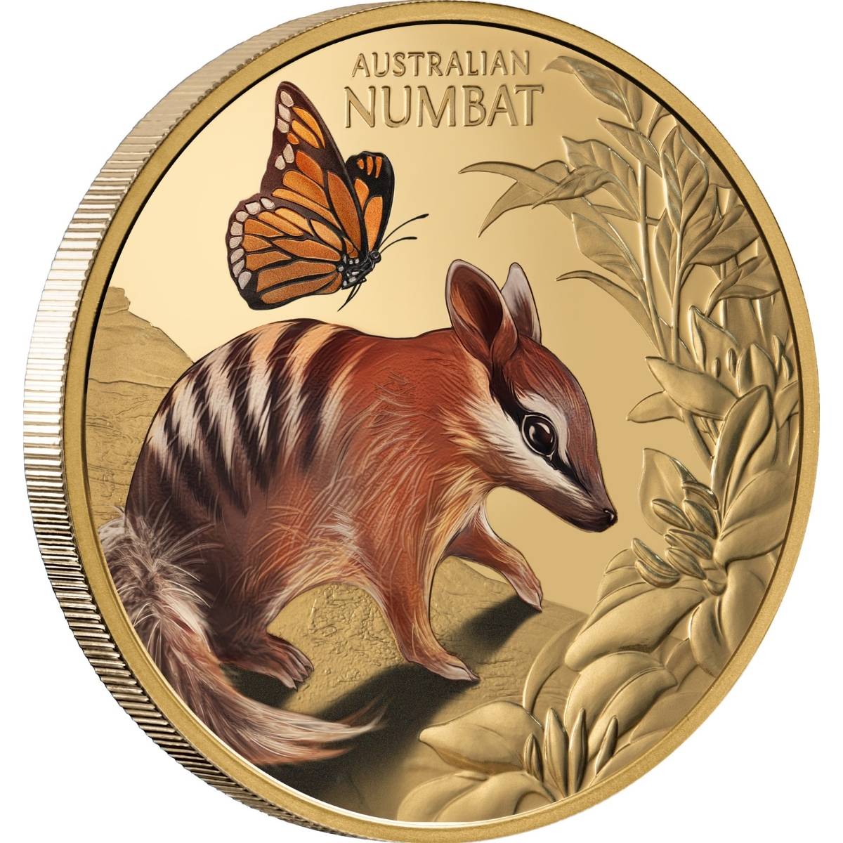 Baby Numbat 2025 $100 1oz Gold Proof Coin