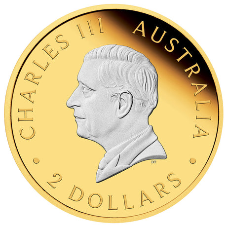 Australian Kangaroo 2024 $2 2oz Silver Proof Reverse Gilded Coin