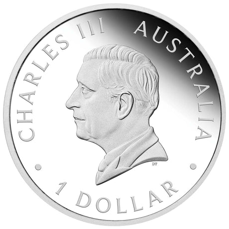 Australian Swan 2024 $1 1oz Silver Proof Coin