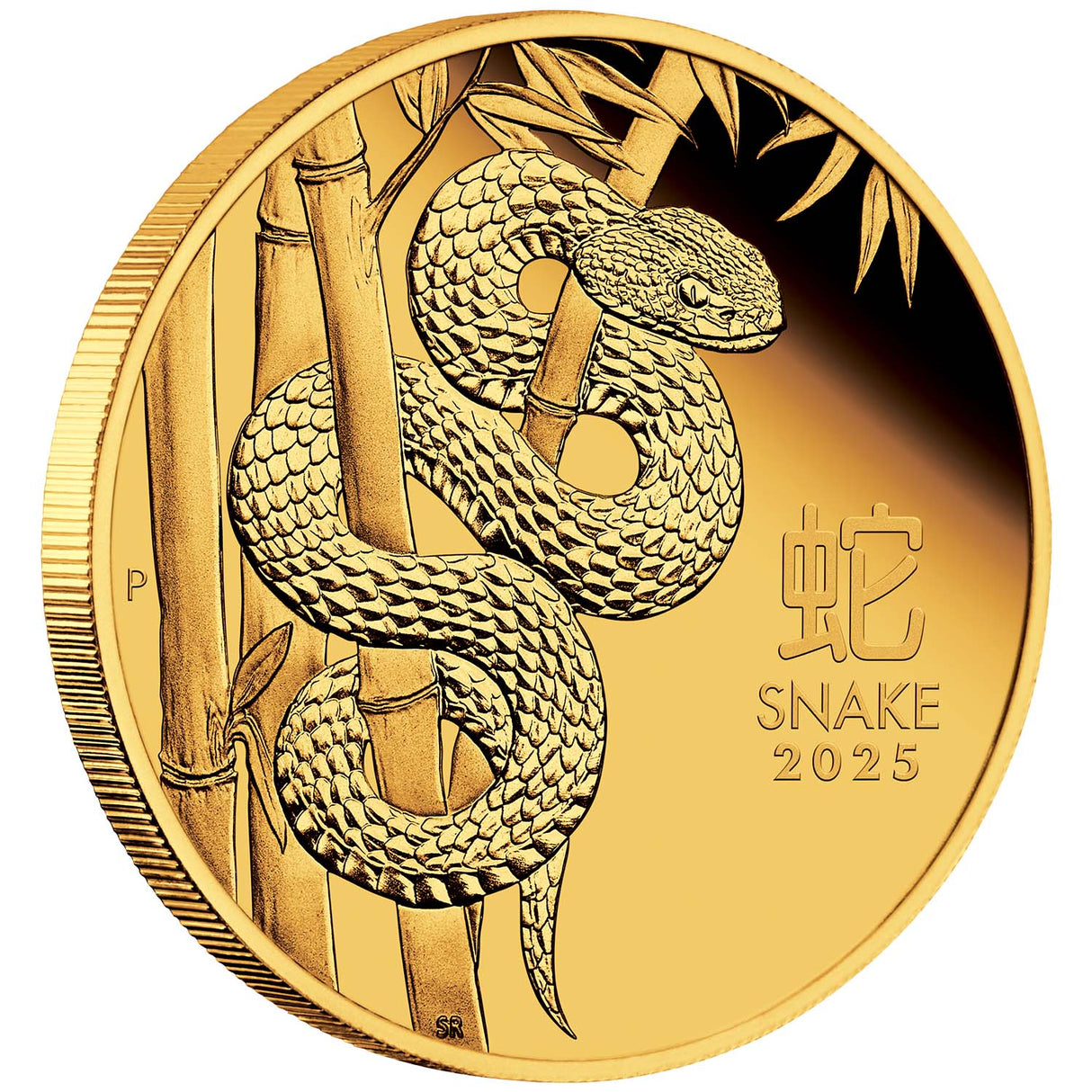 Australia Lunar Year of the Snake 2025 $100 1oz Gold Proof Coin