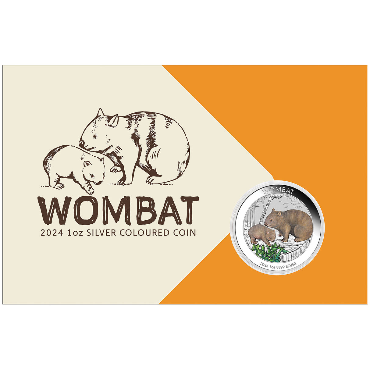 Australia Wombat 2024 $1 Colour 1oz Silver Uncirculated Coin