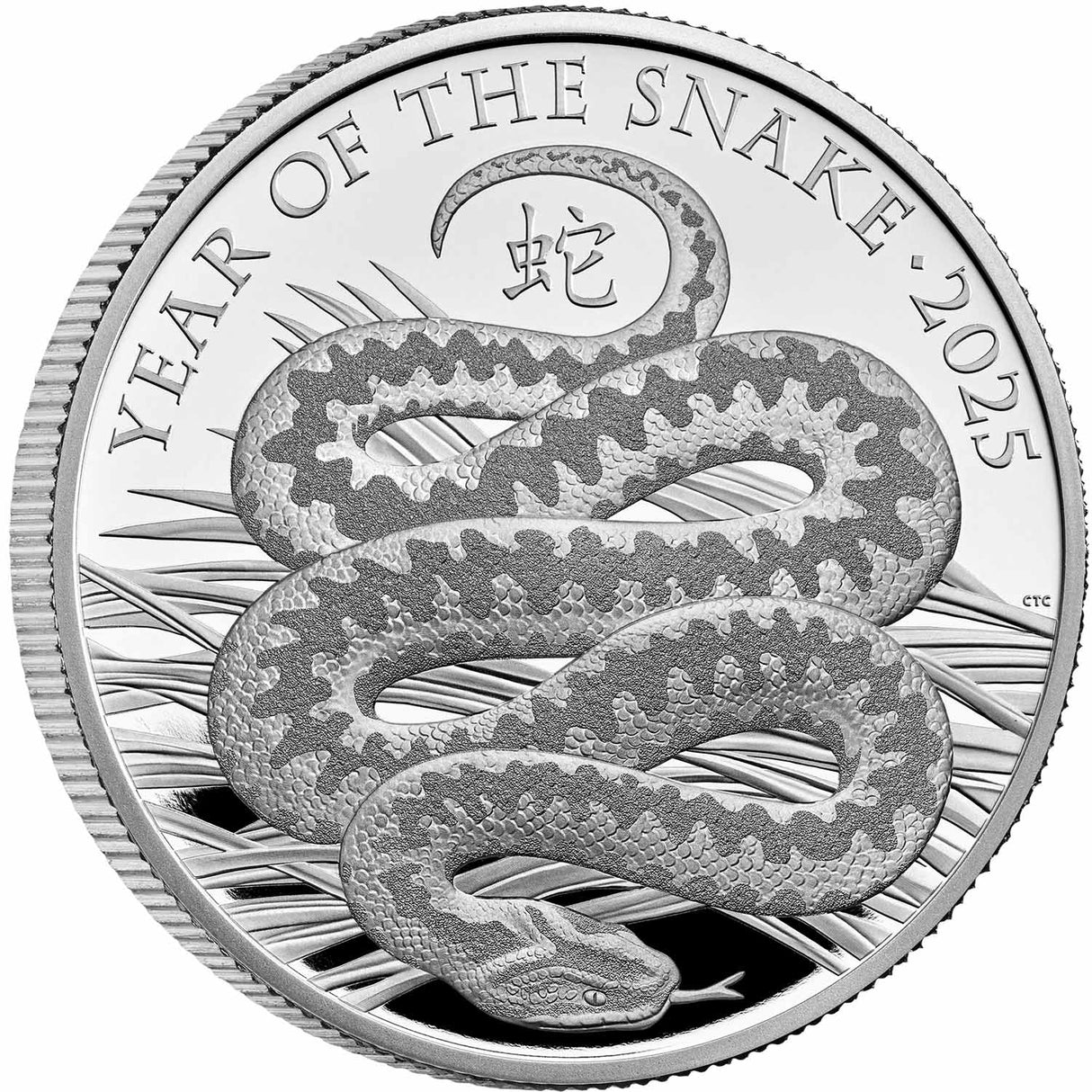 Lunar Year of the Snake 2025 £2 1oz Silver Proof Coin