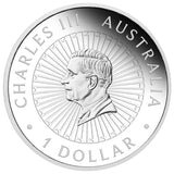 Australia Great Southern Land 2024 $1 Chrysoprase 1oz Silver Proof Coin