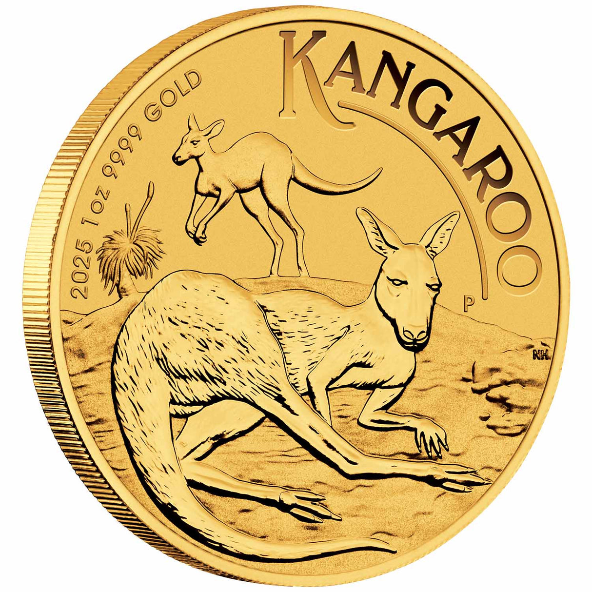 Australia Kangaroo 2025 $100 1oz Gold Uncirculated Coin