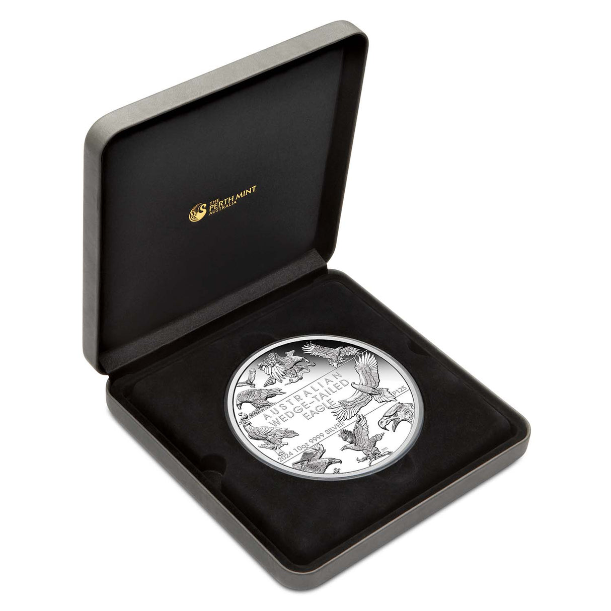 Australia Wedge-Tailed Eagle 10th Anniversary 2024 $10 10oz Silver Proof Coin