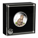 Australia Quokka 2024 $1 Colour 1oz Silver Proof Coin