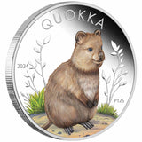 Australia Quokka 2024 $1 Colour 1oz Silver Proof Coin