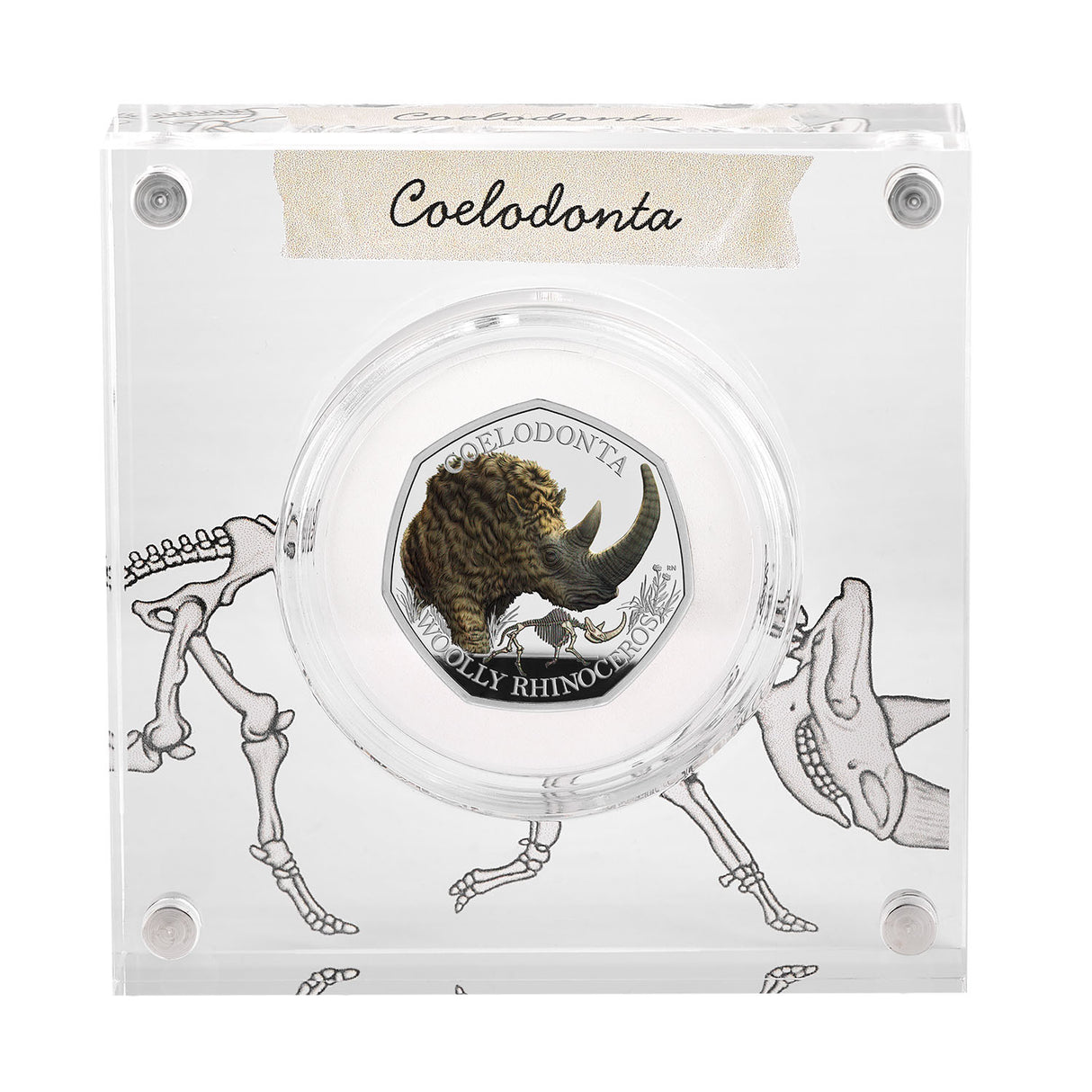 Great Britain Ice Age Woolly Rhinoceros 2024 50p Colour Silver Proof Coin