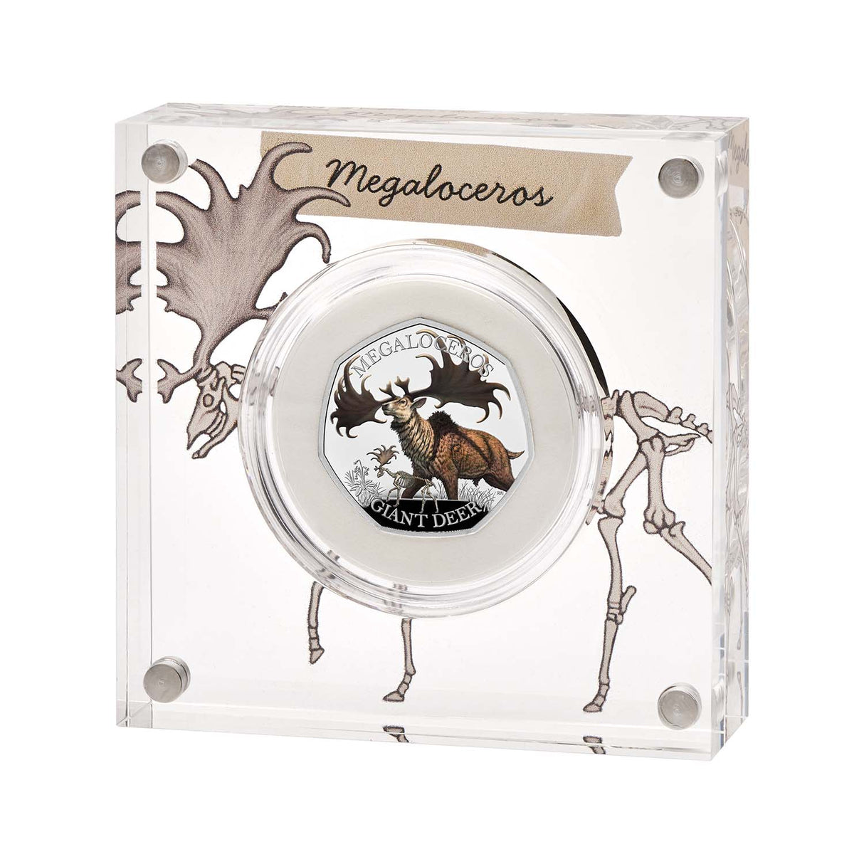 Great Britain Ice Age Giant Deer 2024 50p Colour Silver Proof Coin