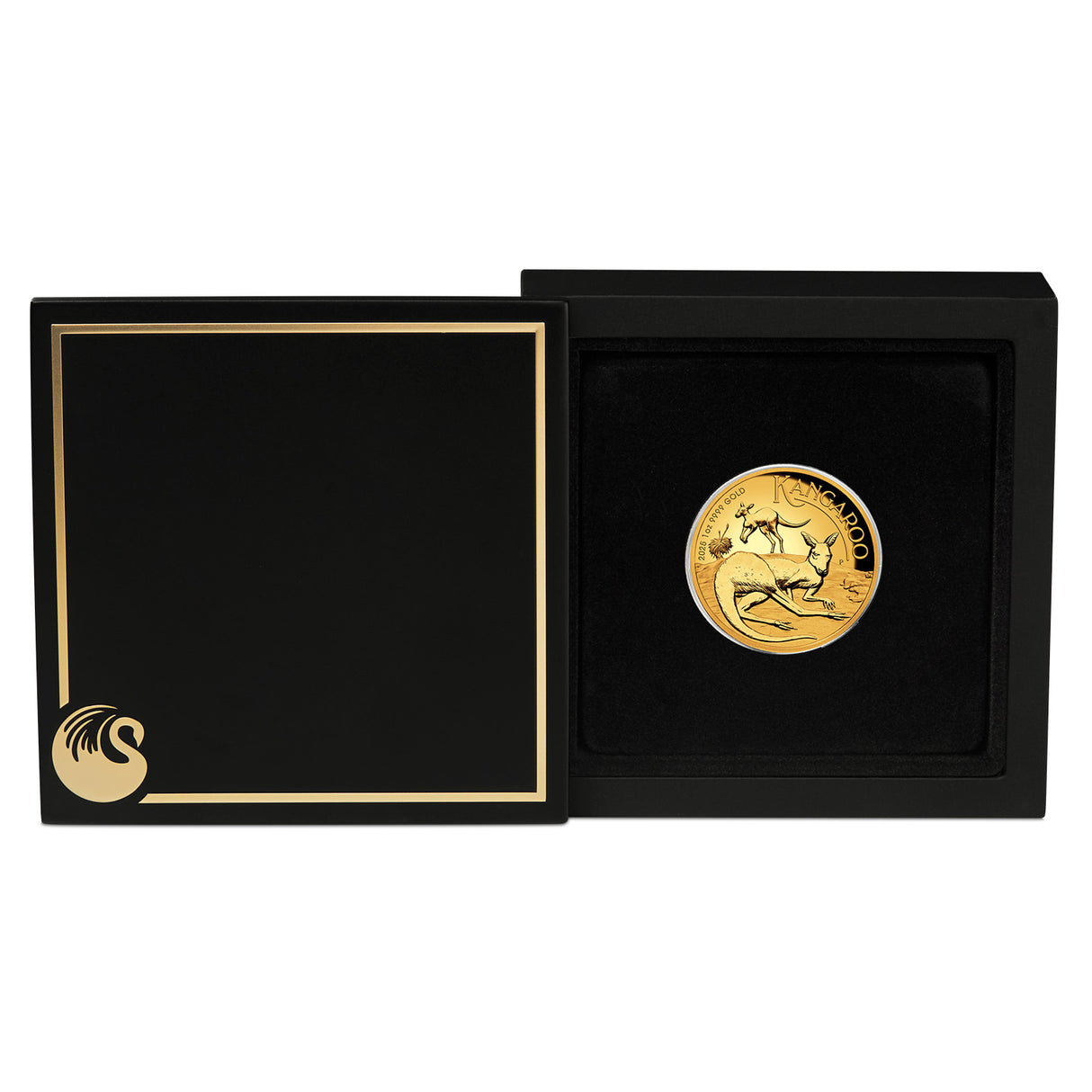 Australia Kangaroo 2025 $100 High Relief 1oz Gold Proof Coin