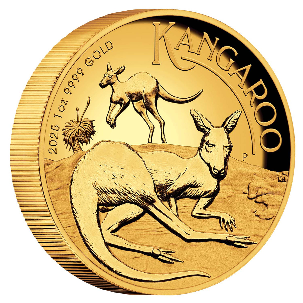 Australia Kangaroo 2025 $100 High Relief 1oz Gold Proof Coin