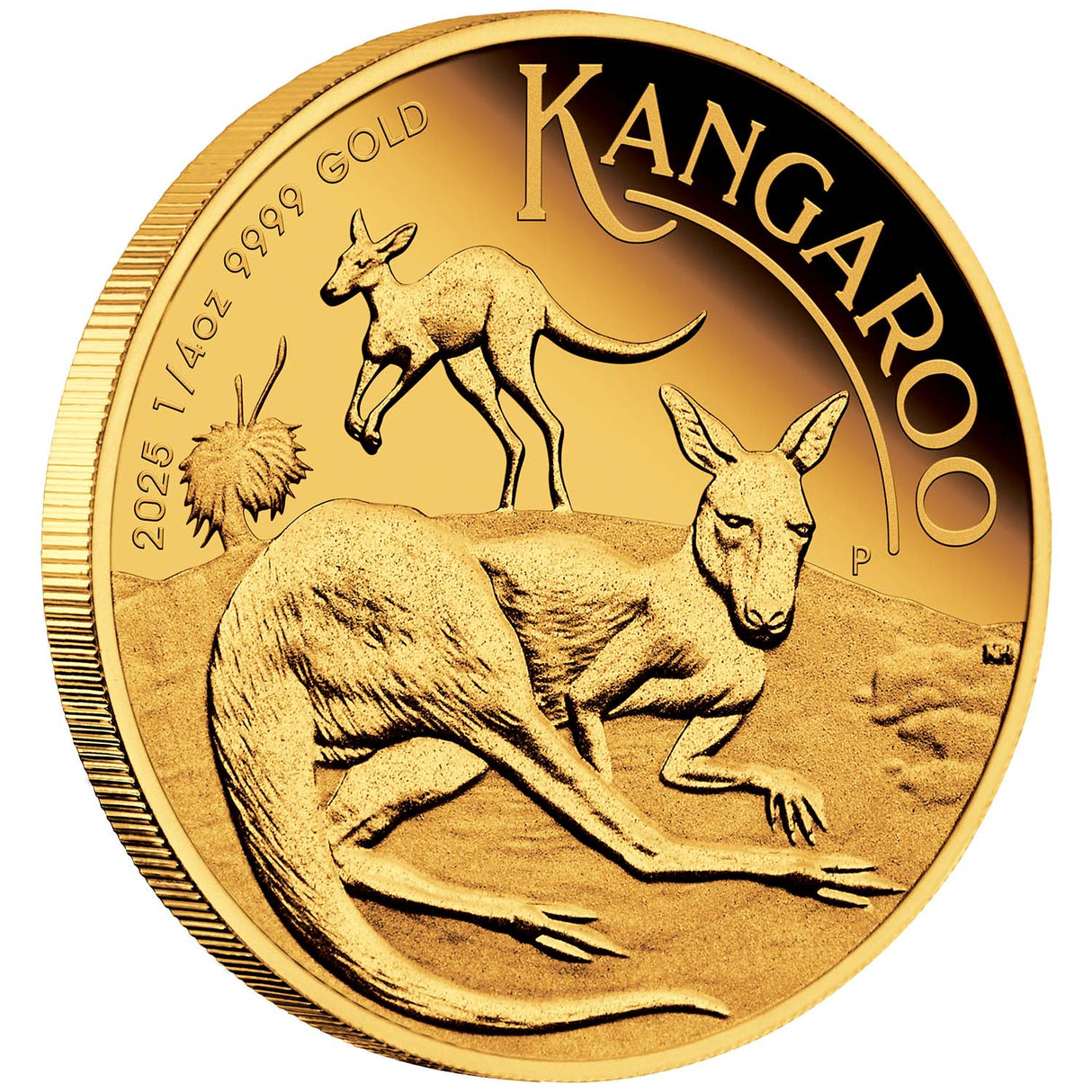 Australia Kangaroo 2025 $25 1/4oz Gold Proof Coin