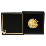 Australia Kangaroo 2025 $200 2oz Gold Proof High Relief Coin