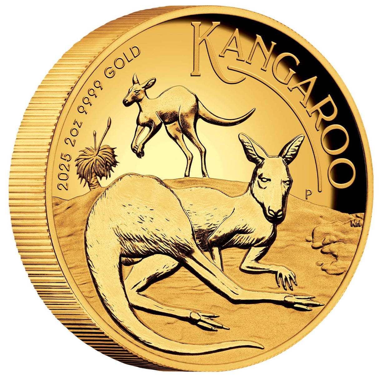 Australia Kangaroo 2025 $200 2oz Gold Proof High Relief Coin