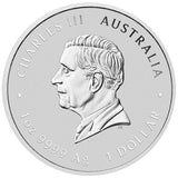 Australia ANDA Melbourne Money Expo 2025 $1 Year of the Snake Colour 1oz Silver Uncirculated Coin