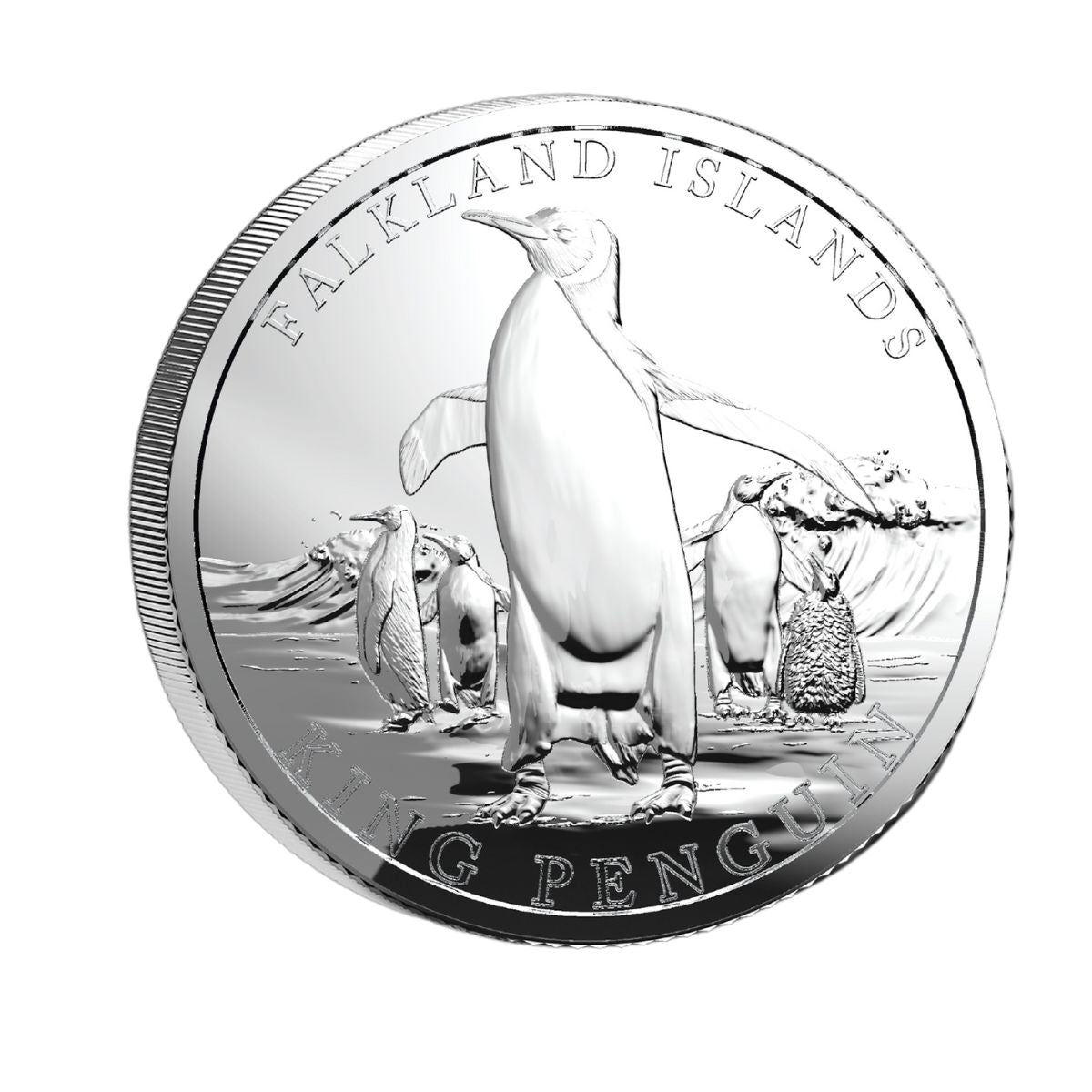 Falkland Islands King Penguin 2025 £5 1oz Silver Proof Coin