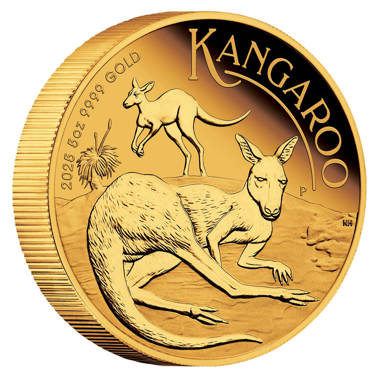 Australia Kangaroo 2025 $500 5oz Gold Proof Coin