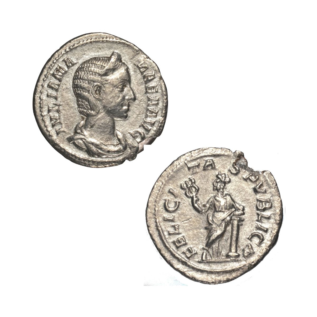 Silver Coins of Ancient Rome Collection