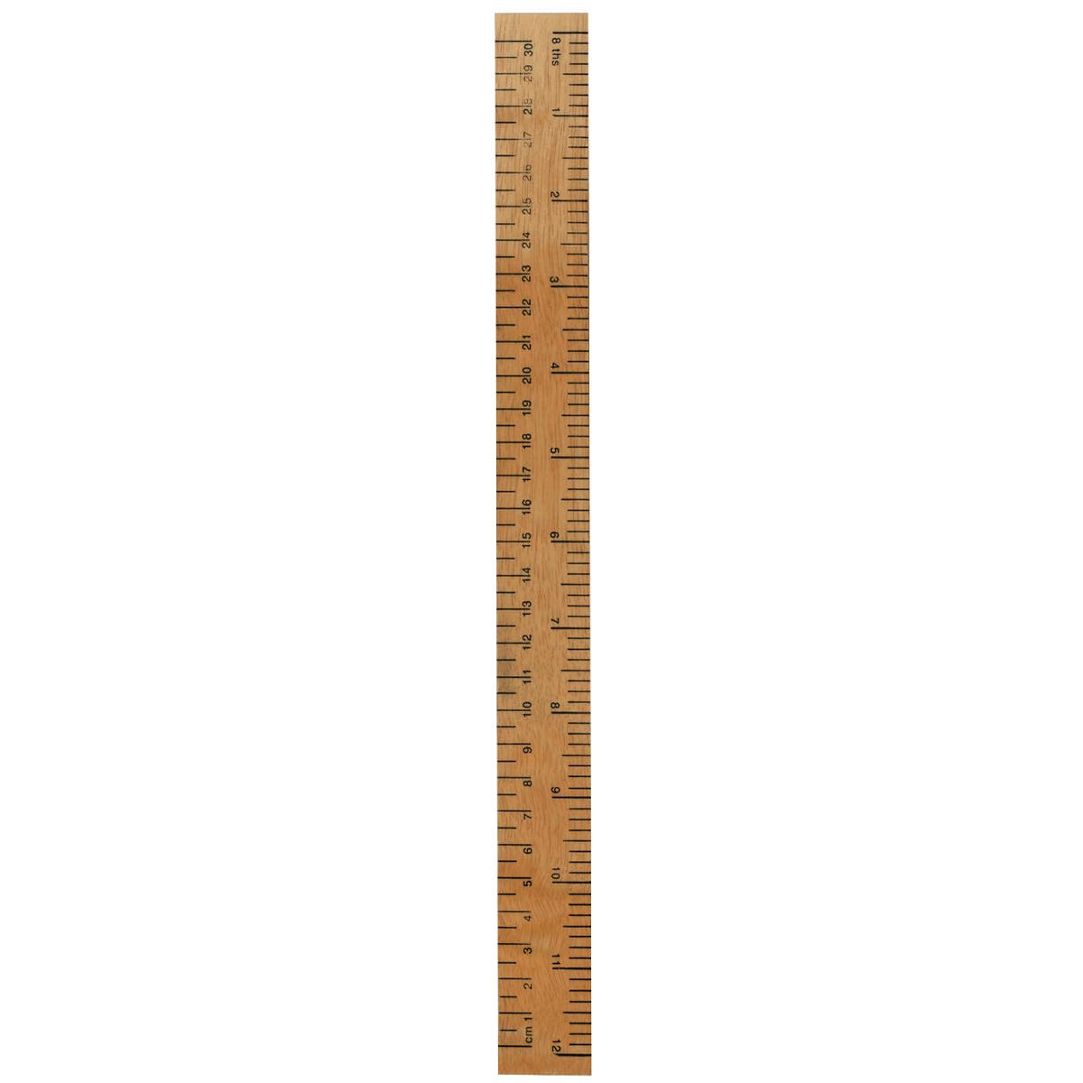 Viking History Ruler - 30cm