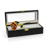 Orange Infinity Rose with Premium Glass Lid Display Case