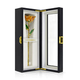 Orange Infinity Rose with Premium Glass Lid Display Case